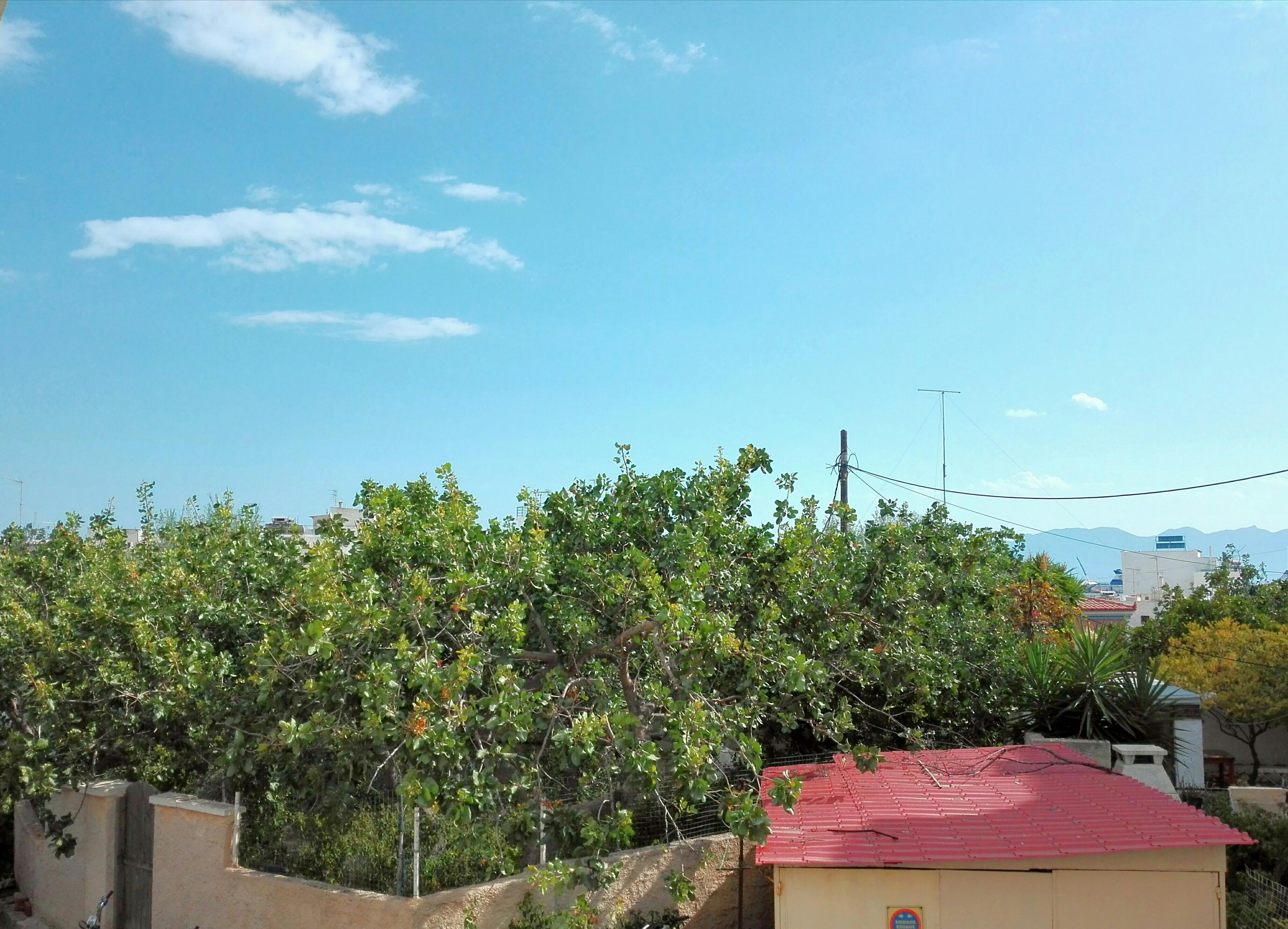 Hotel Aegina Ngoại thất bức ảnh