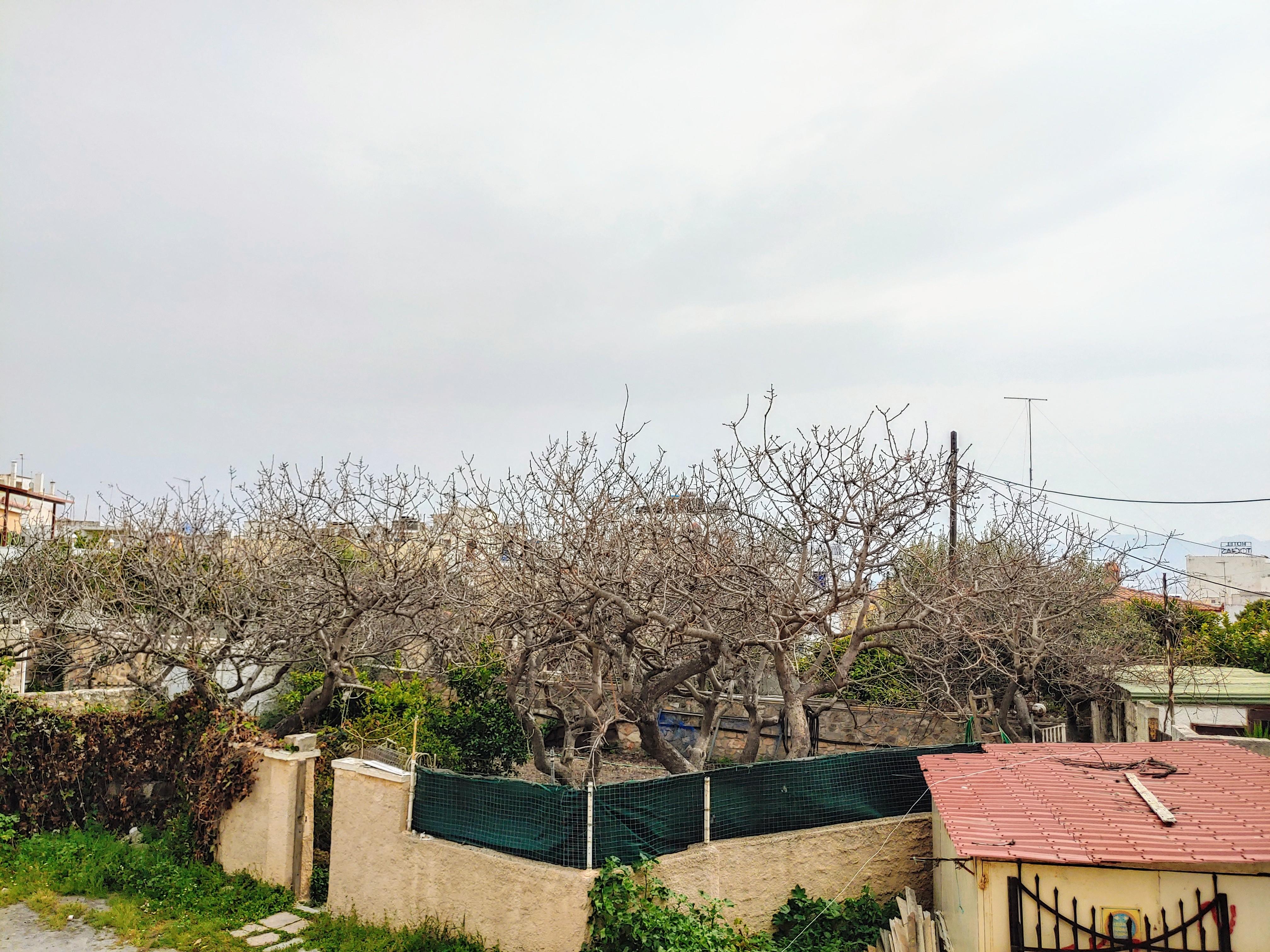 Hotel Aegina Ngoại thất bức ảnh